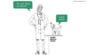 Pet health certificate hawaii