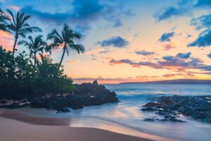 Hawaii private school campus with palm trees